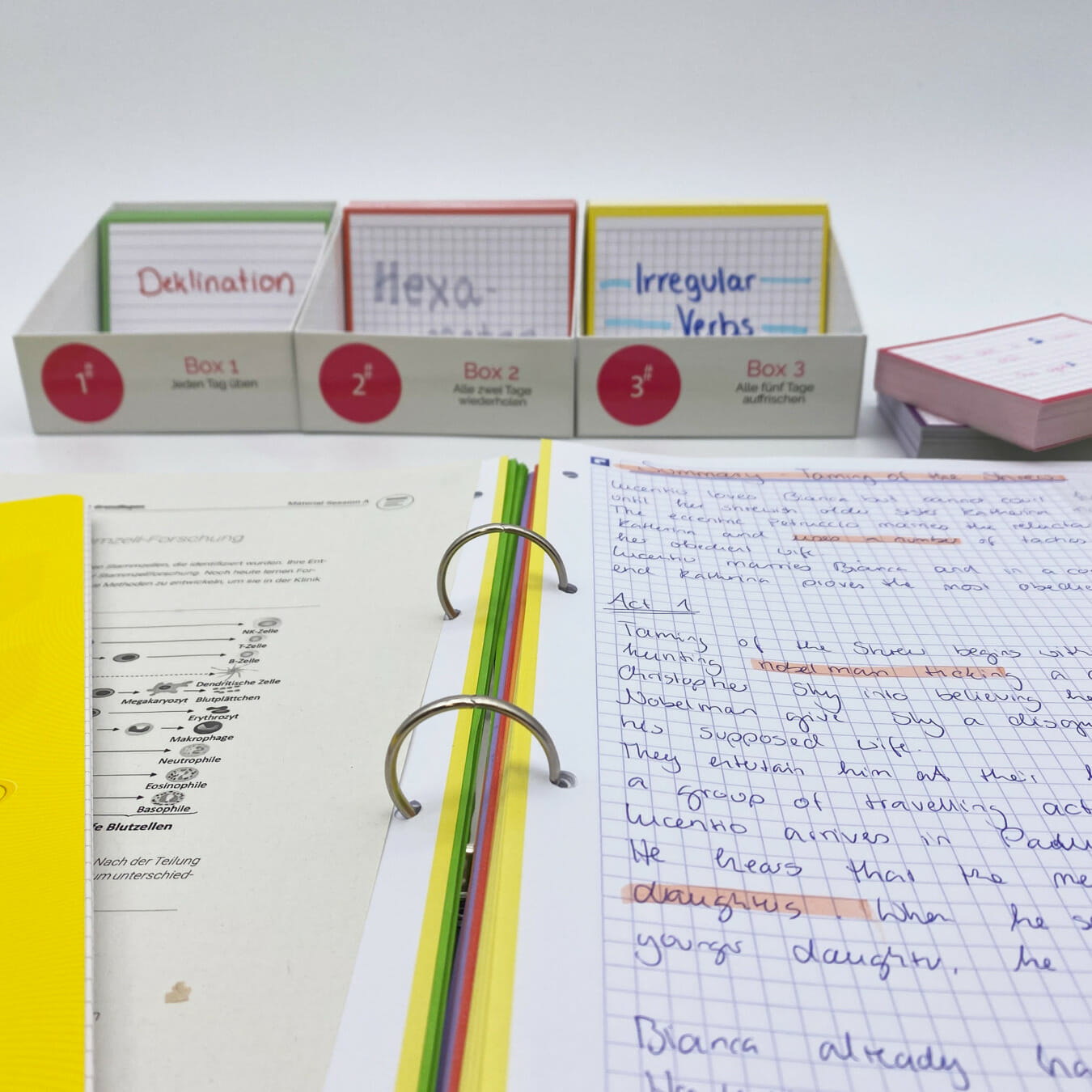 Organisationssystem Oberstufe