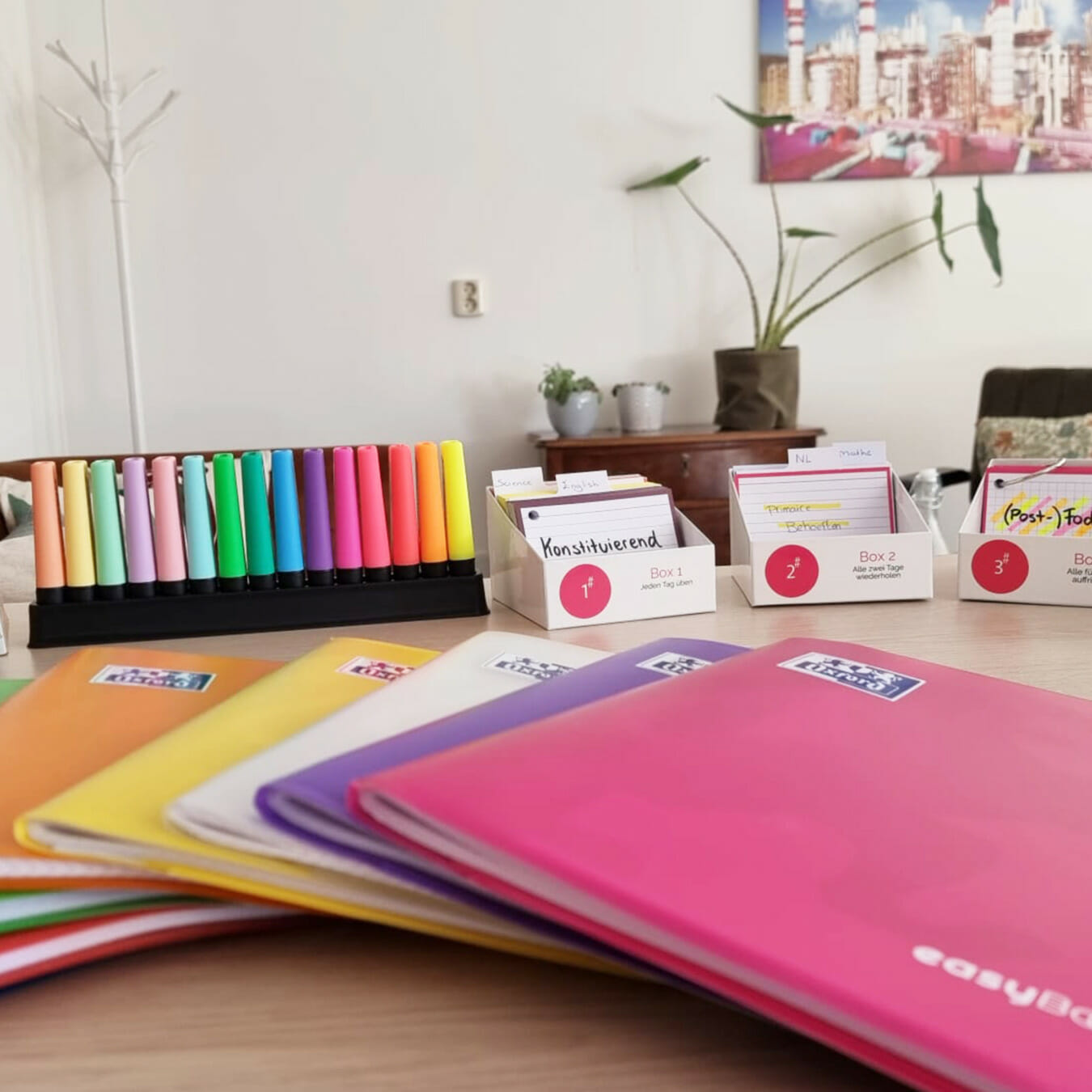 Video von Easybooks im Set
