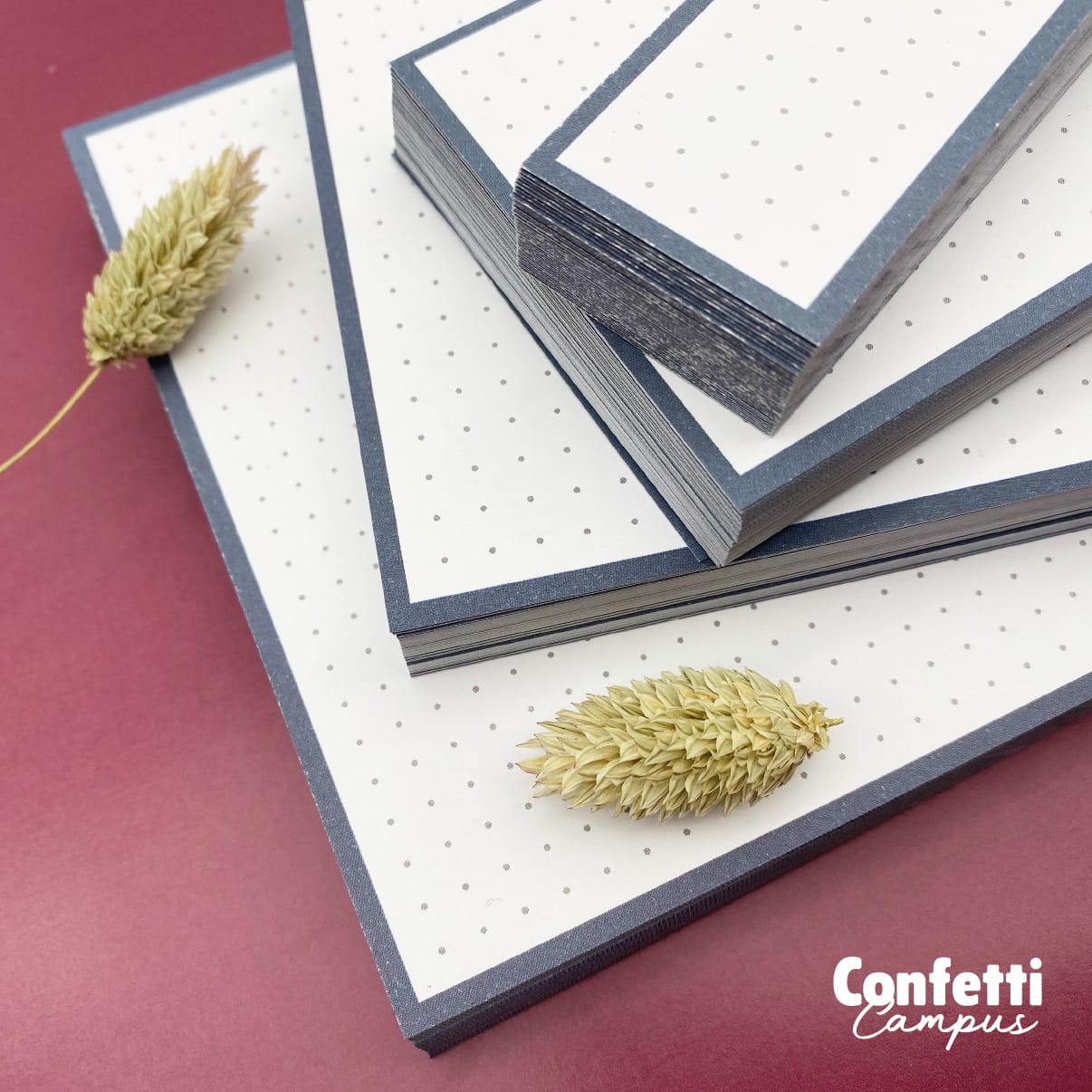 Asthetics Flashcards