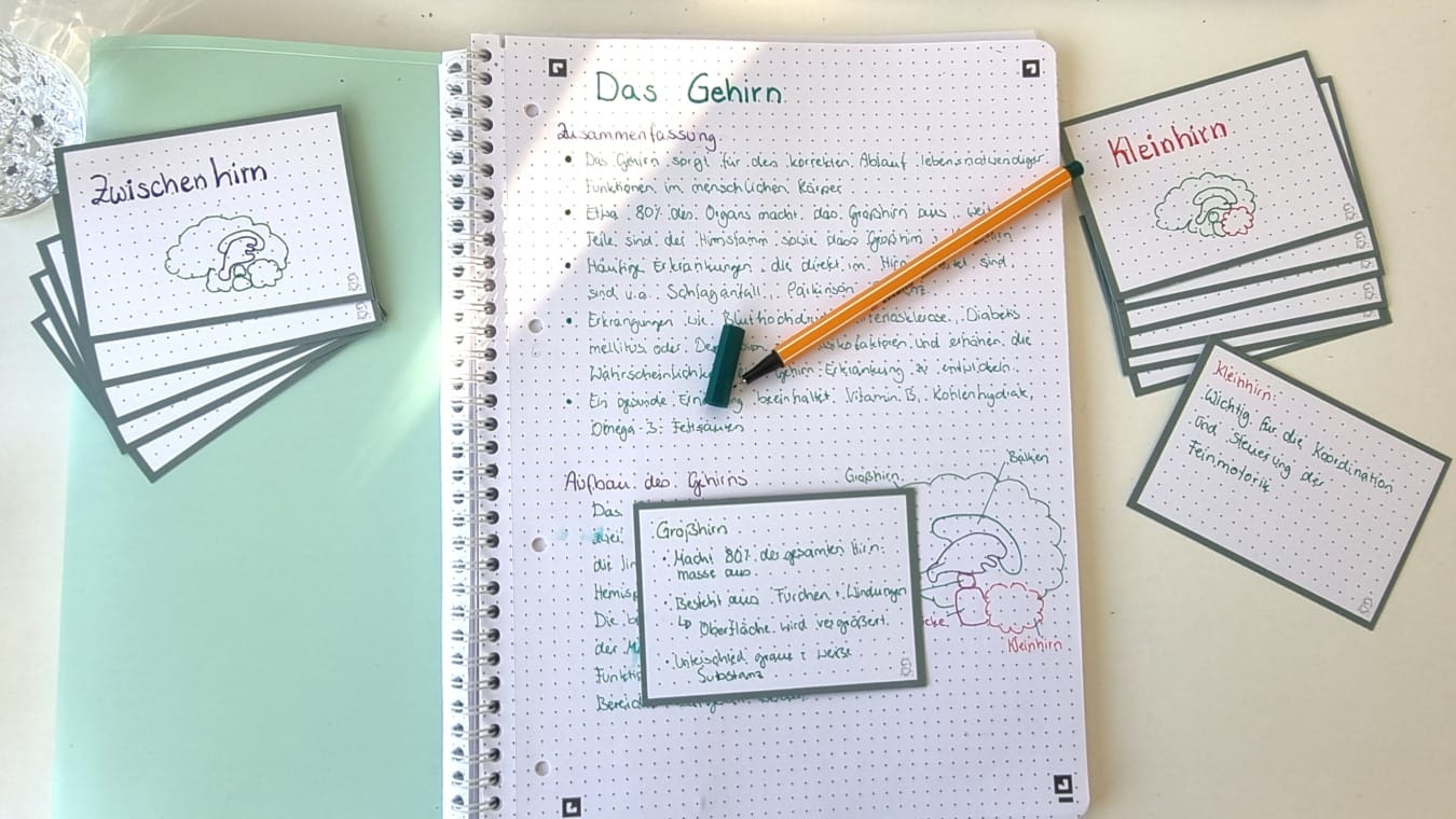 Lernzettel & Flashcards