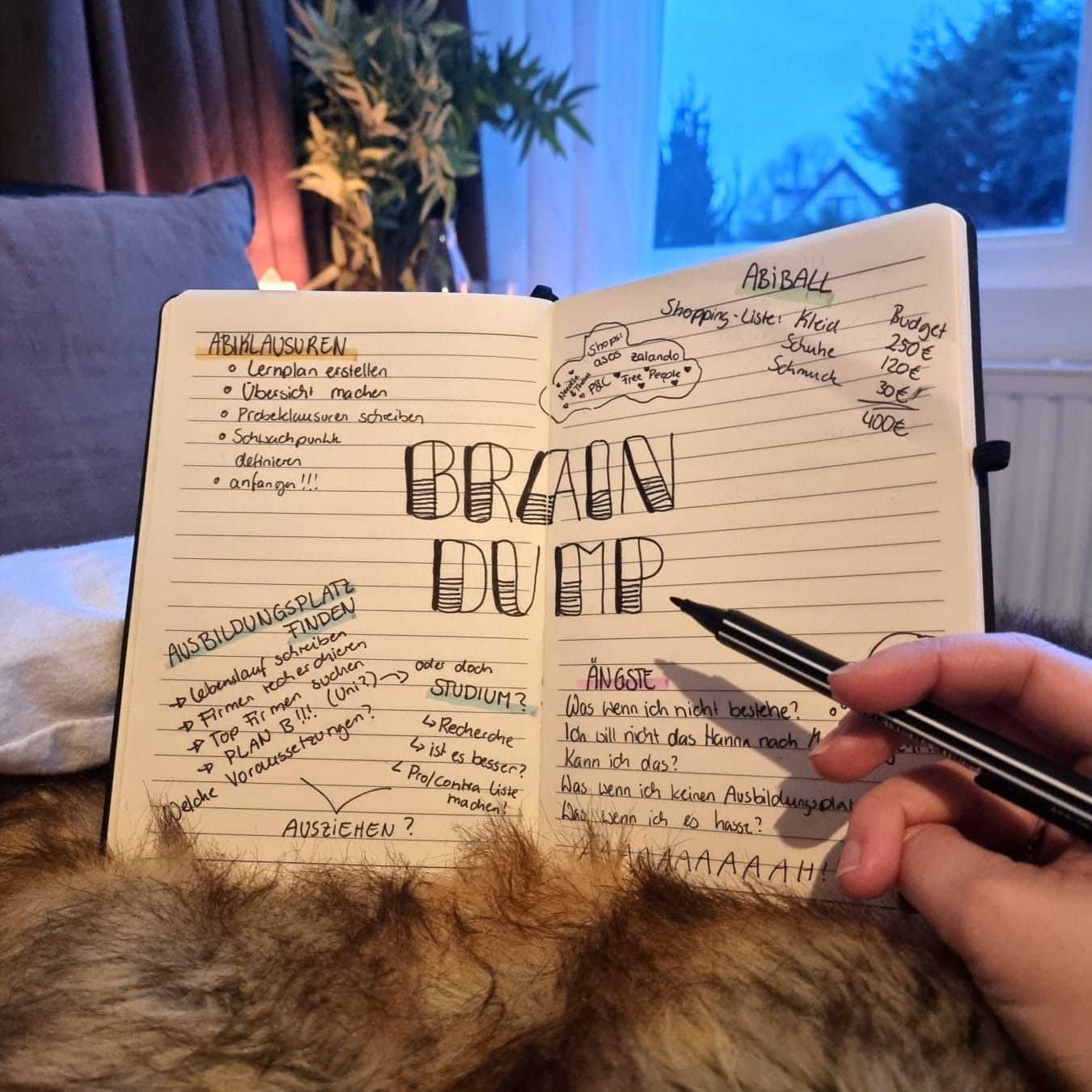 Braindump Bullet Journal