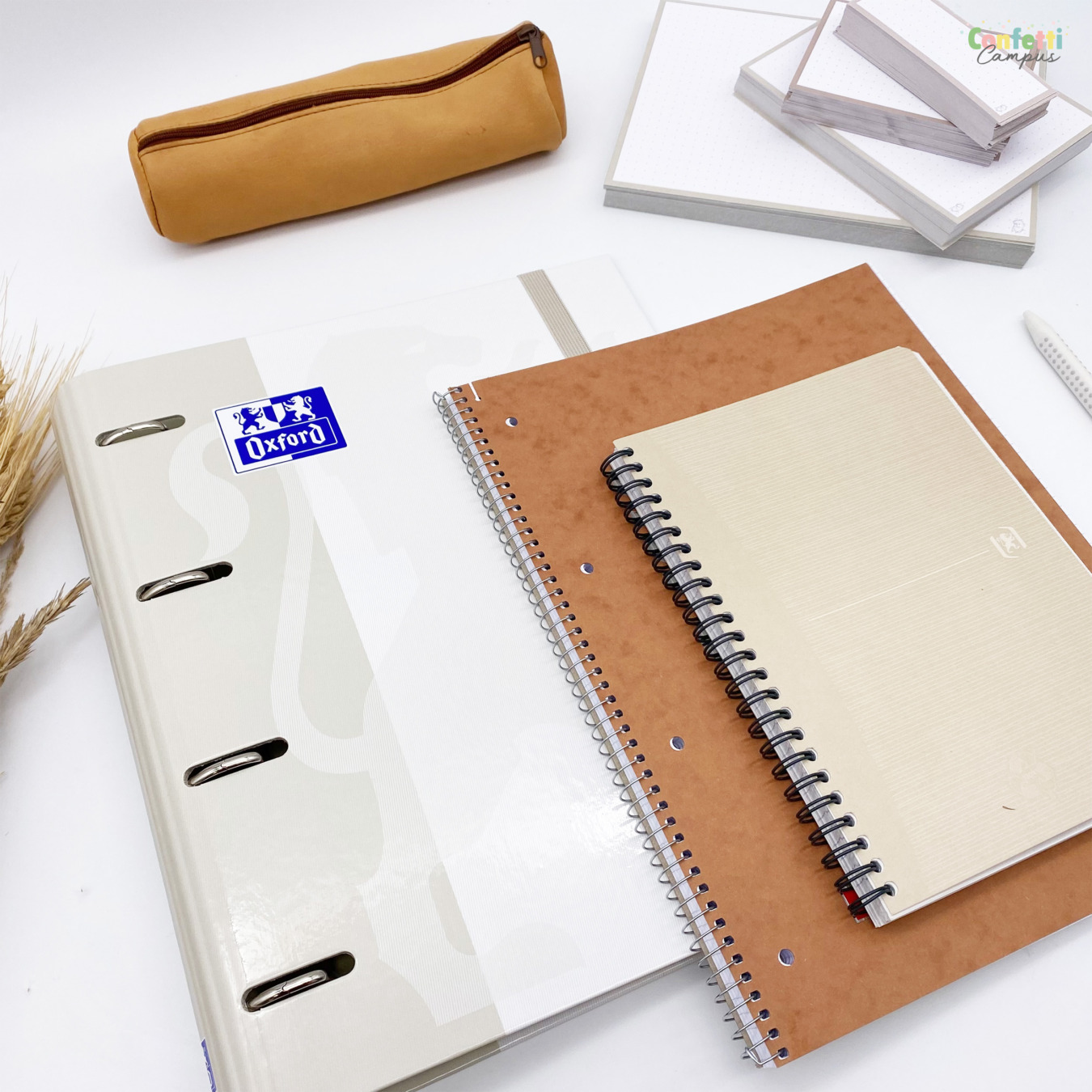 beige asthetics schule