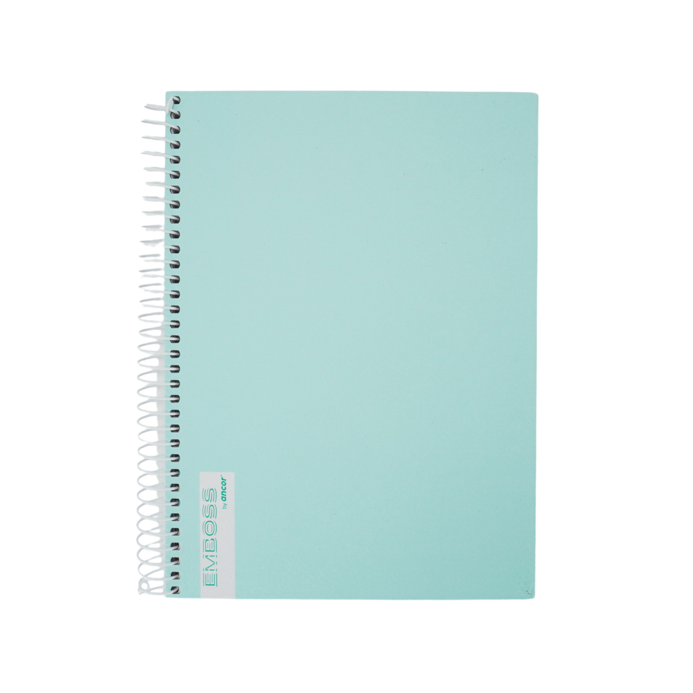 ANCOR Bullet Journal Notizbuch A5 Dotted Pastell Grün