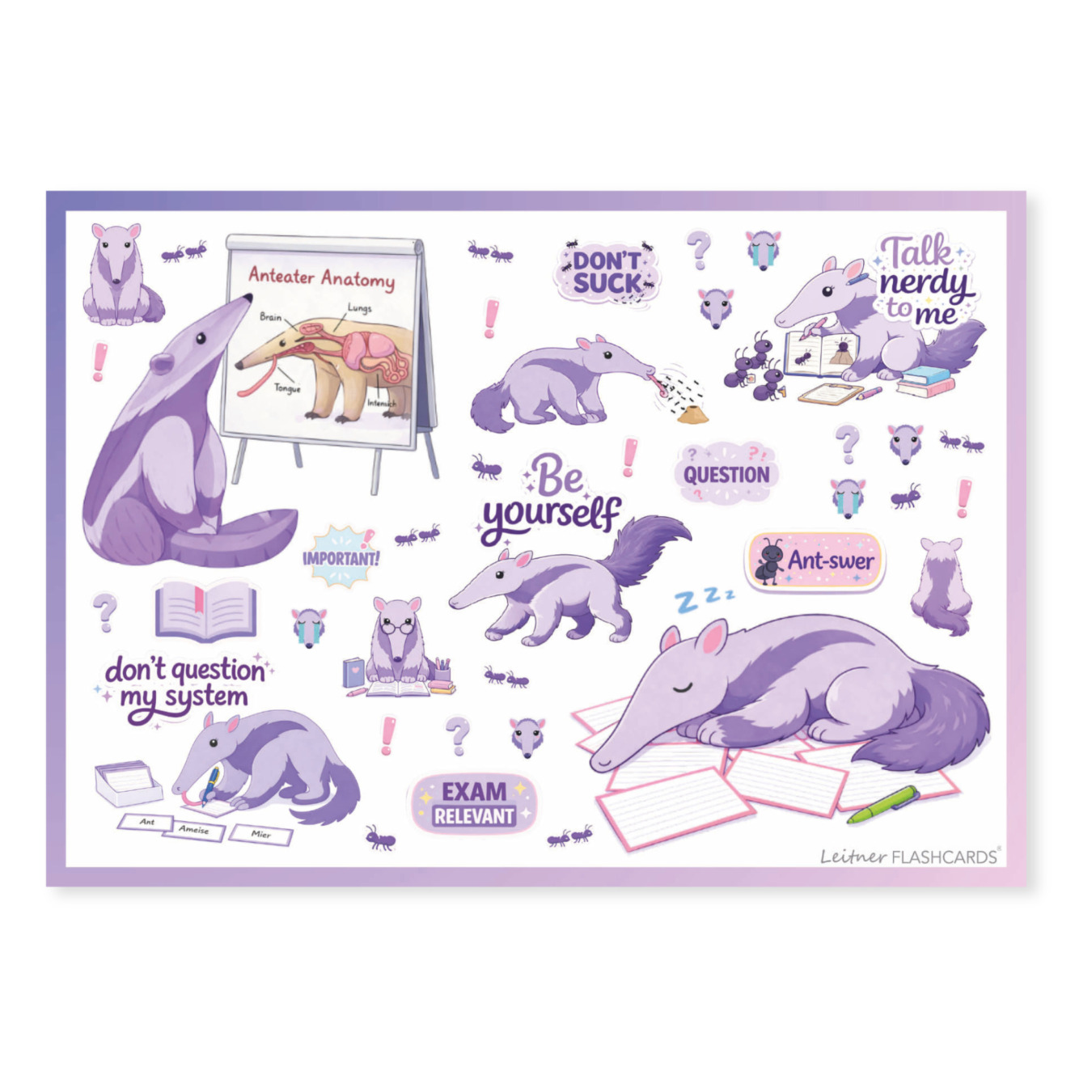 Leitner Flashcards Sticker für Schulsachen & Lernzettel Ameisenbär