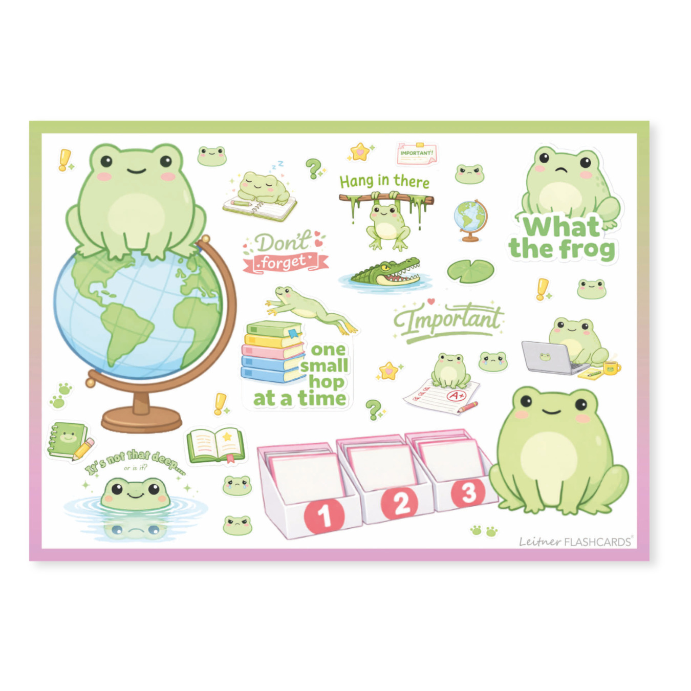 Leitner Flashcards Sticker für Schulsachen & Lernzettel Frosch