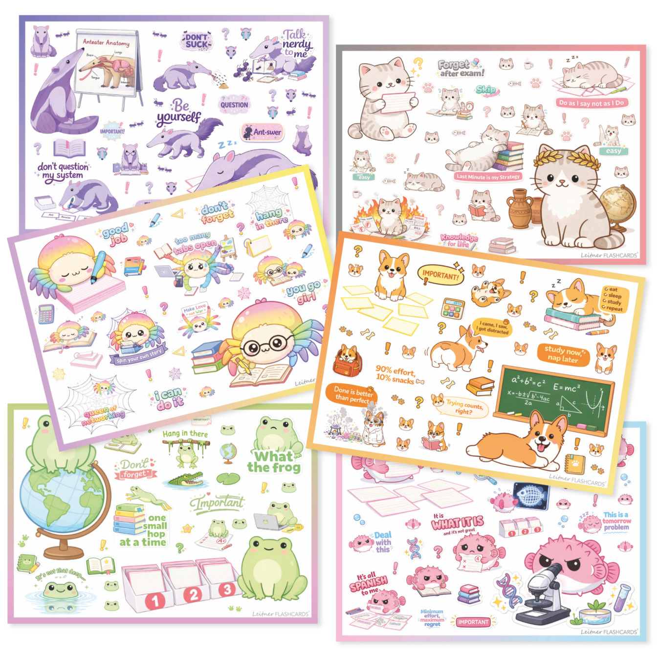 Leitner Flashcards Stickerset für Schulsachen & Lernzettel süße Tiere