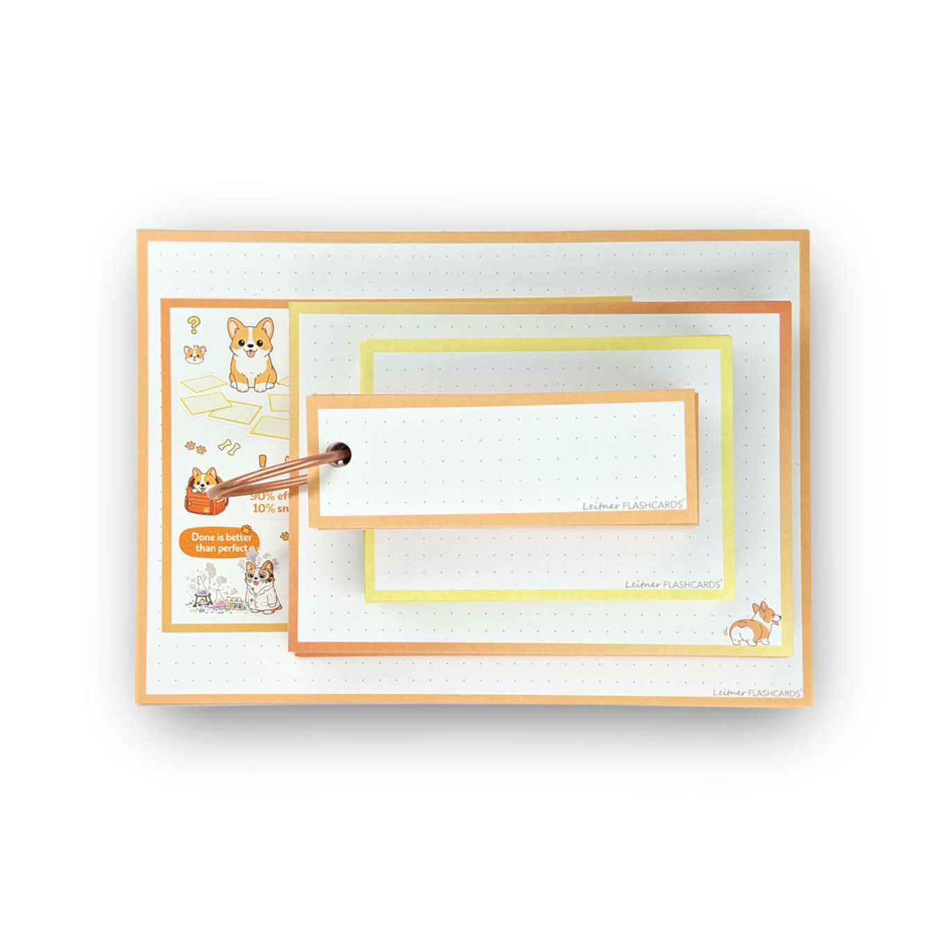 Leitner Flashcards Alle Karteikartenformate im Set Frecher Corgi