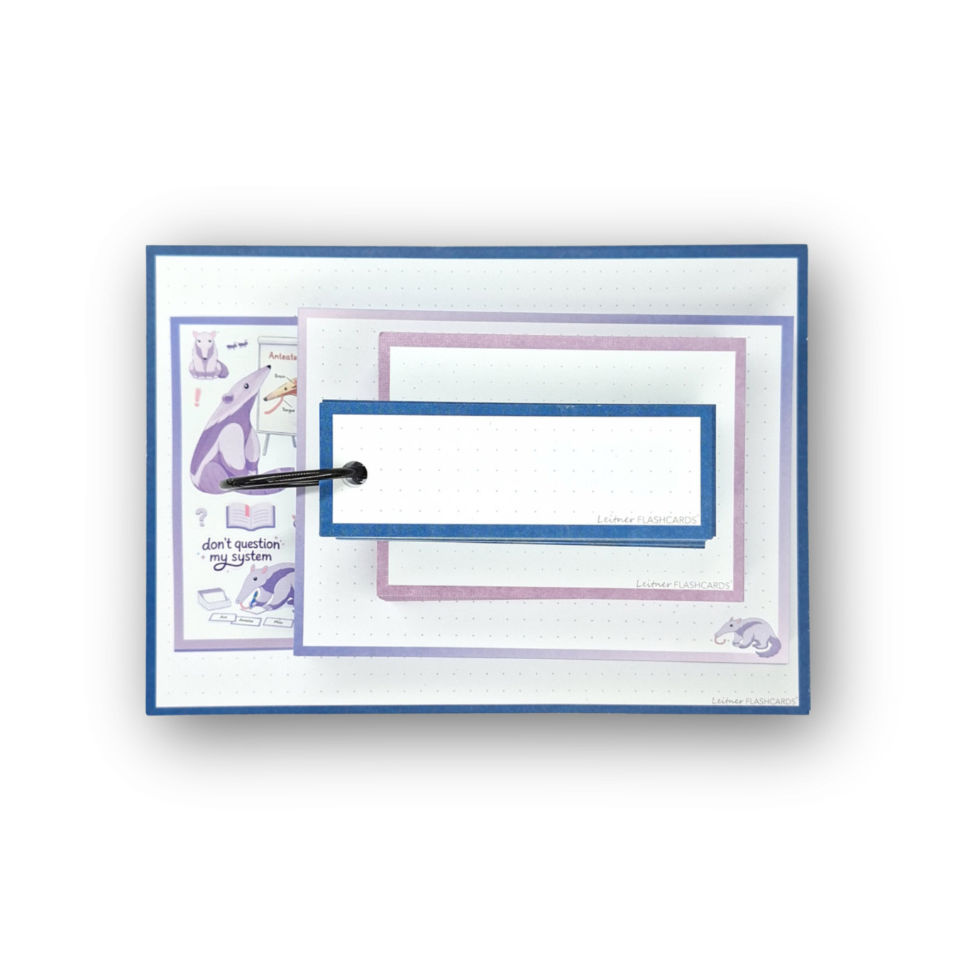 Leitner Flashcards Alle Karteikartenformate im Set Ameisenbär