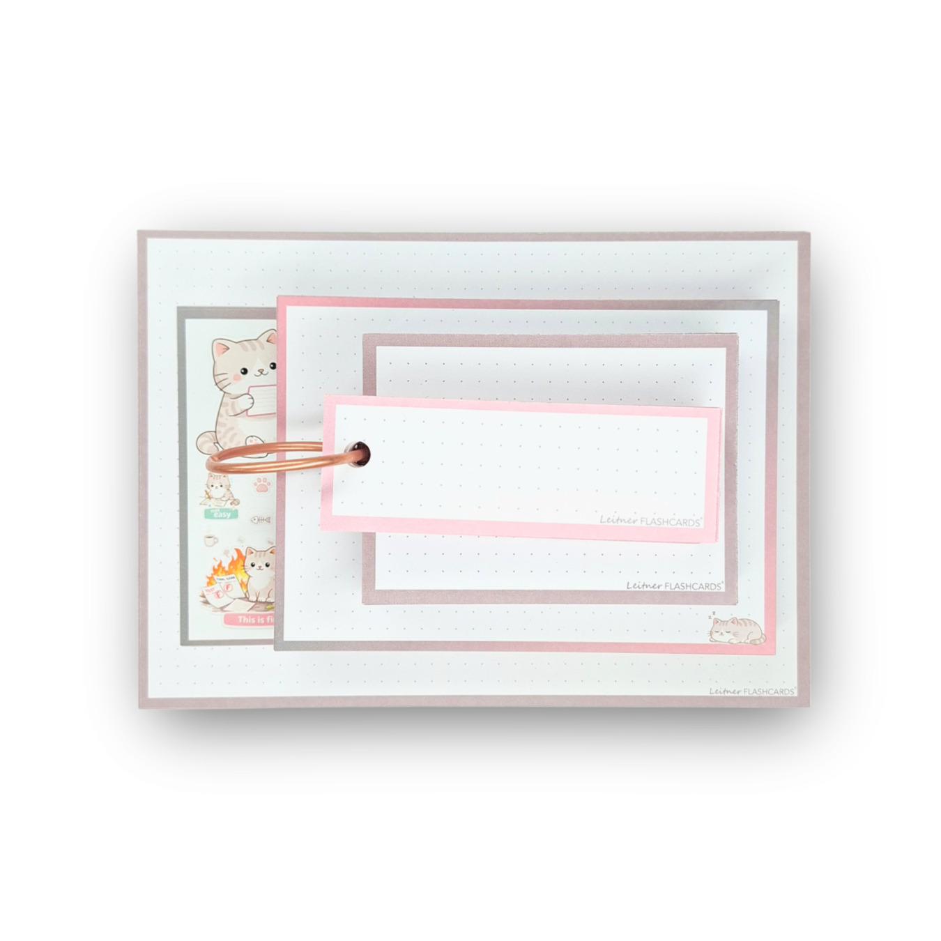 Leitner Flashcards Alle Karteikartenformate im Set Verplante Katze